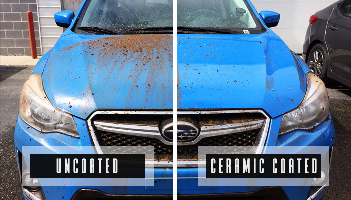 Professional ceramic coating application on vehicle by Big Dog Wraps Denver